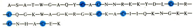 Первичная структура нейротоксина В-IV