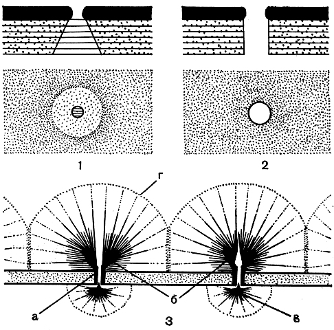 Рис. 251. Строение порового аппарата клеток у десмидиевых водорослей: 1, 2 - общие схемы основных типов порового аппарата в разрезе (в верху ) ис поверхности (внизу ) (1 - тип клостериума, 2 - тип космариума); 3 - схематическое изображение электронно-микроскопической картины порового аппарата у Micrasterias rotata (поперечный разрез): а - поровые нити, б - конечные запонки, в - поровая луковица, г - слизистые призмы
