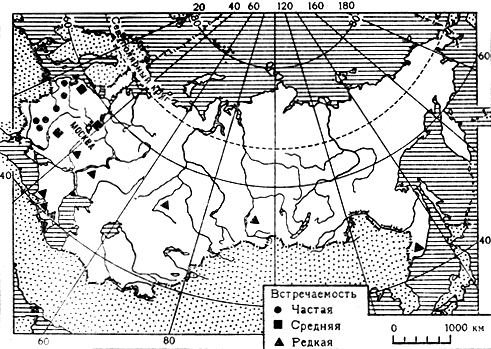 Карта 6. Распространение в СССР бледной поганки