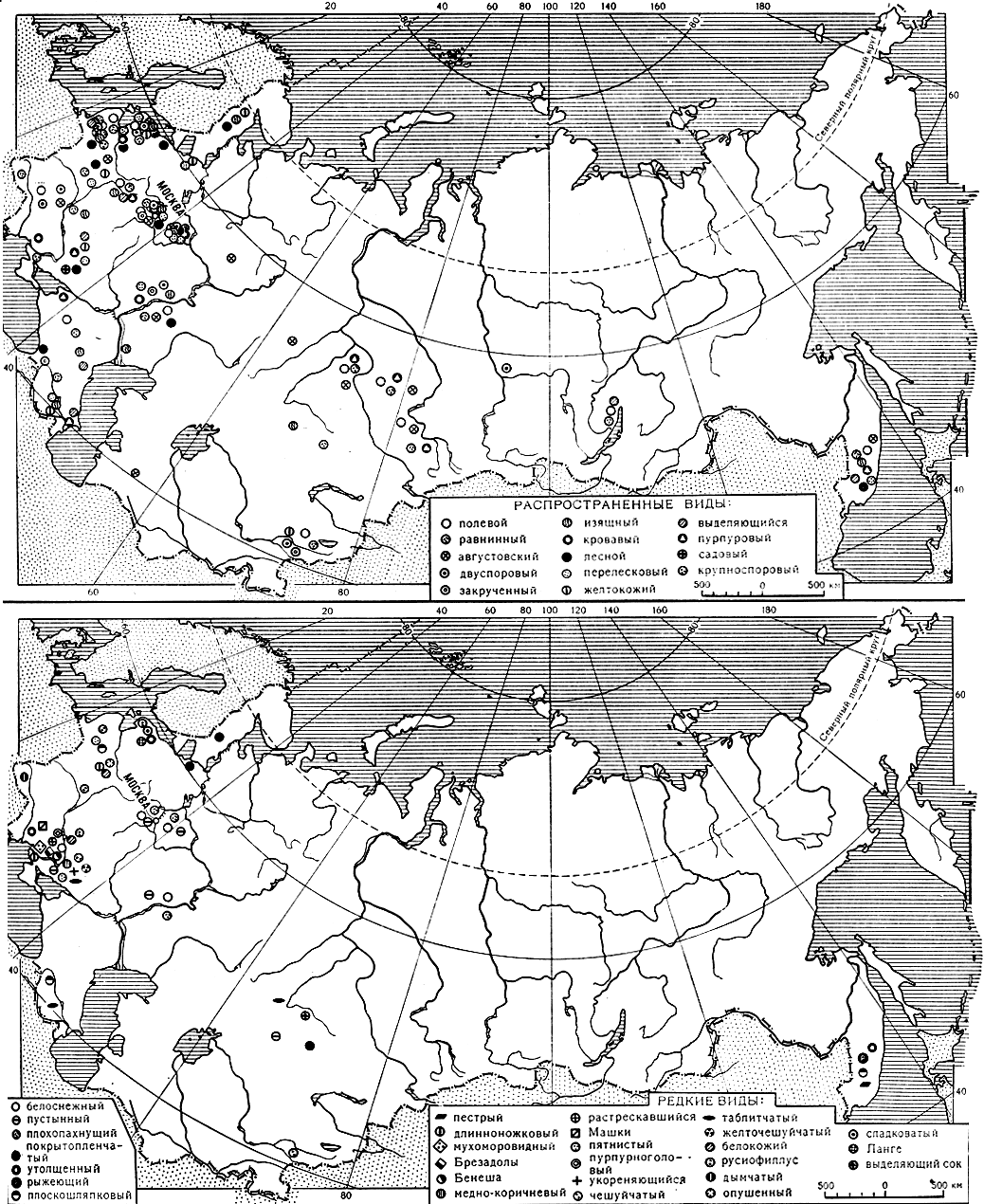 Карта 8. Распространение видов шампиньонов в СССР: вверху - часто встречающиеся виды; внизу редко встречающиеся