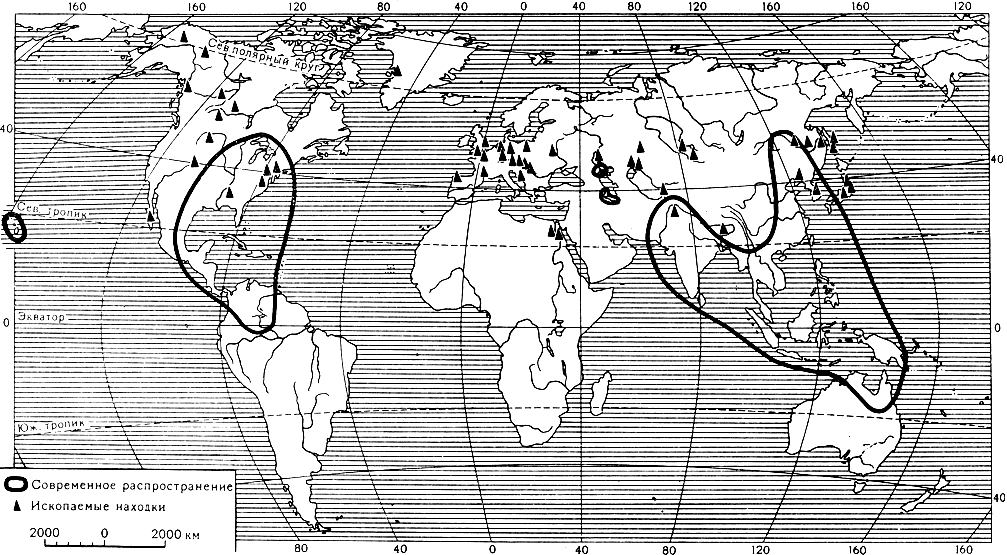 Карта 9. Современное распространение и ископаемые находки рода лотос