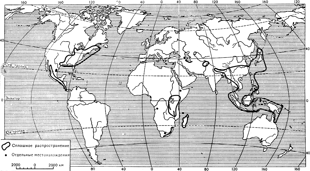 Карта 12. Ареал семейства гамамелисовых