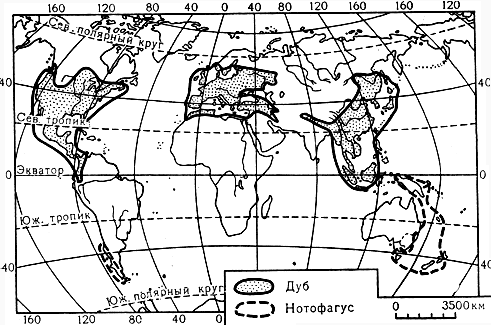 Карта 15. Ареалы родов дуб и нотофагус