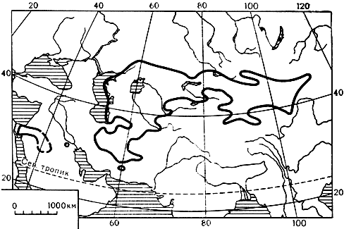 Карта 17. Ареал рода саксаул
