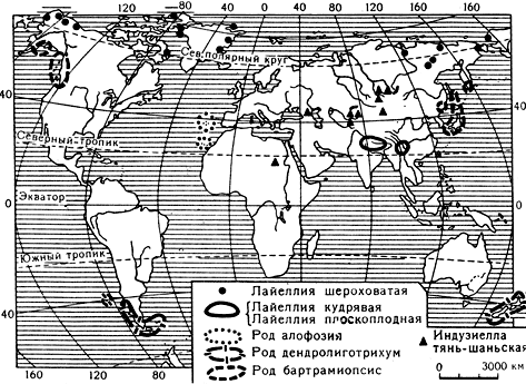 Карта 1. Ареал некоторых моховидных