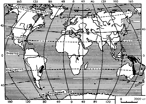 Карта 13. Ареал рода араукария