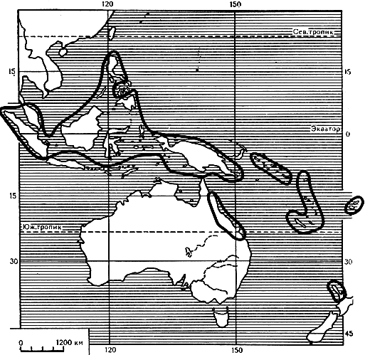 Карта 14. Ареал рода агатис
