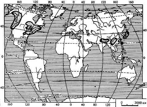 Карта 17. Ареал рода тсуга