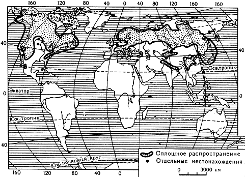 Карта 18. Ареал рода ель