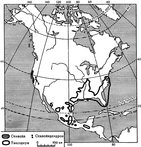 Карта 22. Ареалы родов секвойя, секвойядендрон и таксодиум