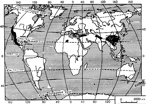 Карта 28. Ареал рода кипарис