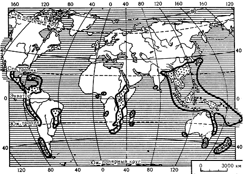 Карта 31. Ареал рода подокарп