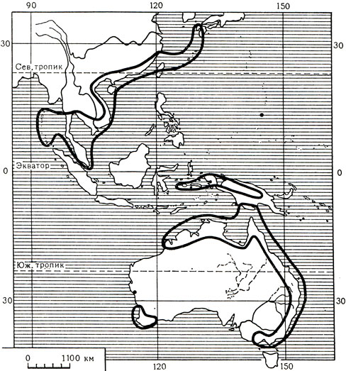 Карта 6. Ареал семейства филидровых