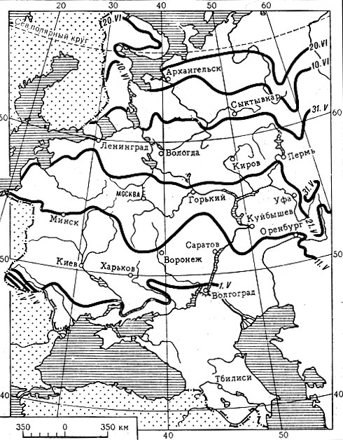 Карта 3 Сроки зацветания черемухи в Европейской части СССР