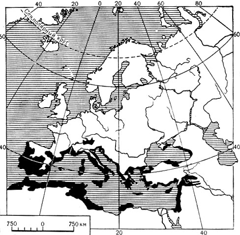 Карта 13. Распространение маслины