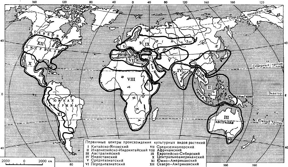 Карта 16. Происхождение культурных видов растений (по П. М. Жуковскому)