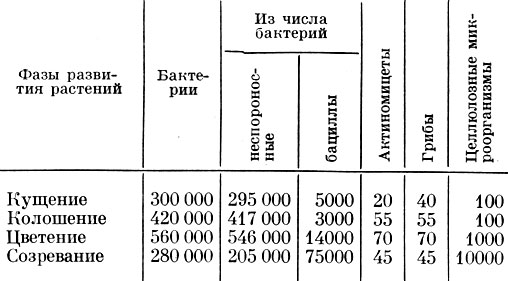 Групповой состав и численность микрофлоры ризосферы пшеницы (число микроорганизмов в тыс. на 1 г почвы). (По Е. Н. Мишустину, 1972)