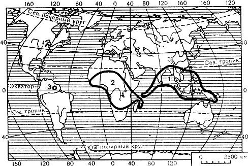 Карта 7. Ареал семейства диптерокарповых: 1 - подсемейство Dipterocarpoideae; 2 - подсемейство Monotoideae; 3 - подсемейство Pakaraimoideae