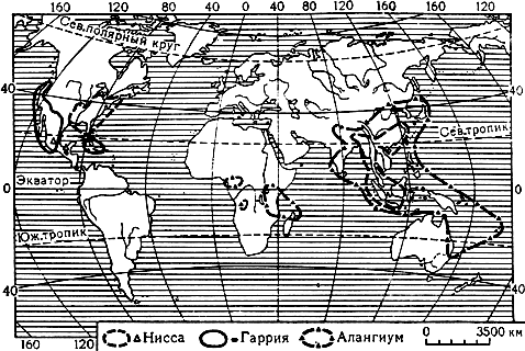 Карта 11. Ареалы родов нисса, гаррия и алангиум