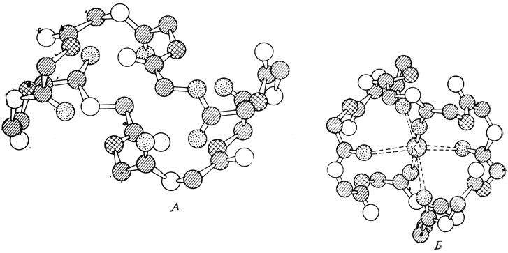 . 2.5.       K+ (A)    (). (   Stryer L., Biochemistry, San Francisco: Freeman W. H. and Co., 1975.)       