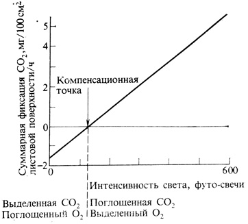 . 4.5.         .    (130 -=0,7 /2)    :  ,   ,   ,    ,       CO2   CO2,   