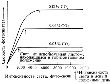 . 4.6.           CO2 (    ,      ).    .   ,  ,    