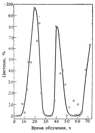 . 12.11.   Chenopodium rubrum,  2-           72-  . ( Cumming et al. 1905. Can. J. Bot., 43, 825-853.)