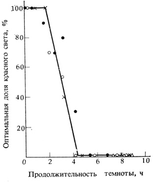 . 12.12.   Chenopodium rubrum,  5    10-       .            .     ,    .  ,    ,    ,    ,     ,  , -   4  . (King, Cumming. 1972. Planta, 108, 39-57.)