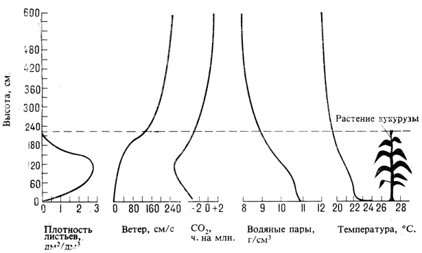 . 14.10.        ,     CO2.    ,          . (Lerhon et al. 1978. Science, 174, 371-378.)