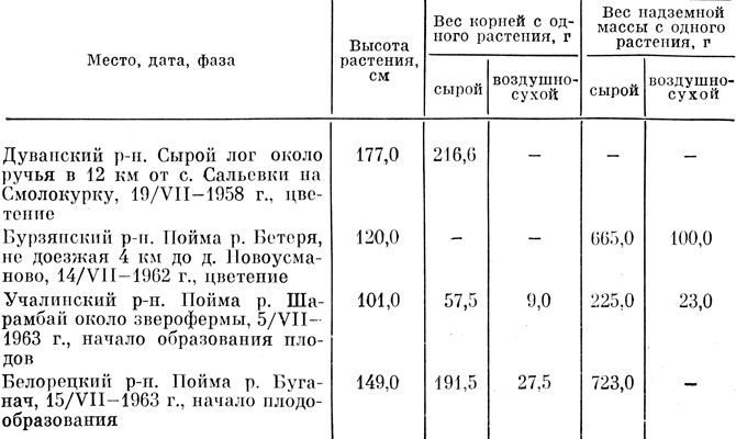 Таблица 20 Продуктивность надземной массы и корней дягиля лекарственного, произрастающего в Башкирии