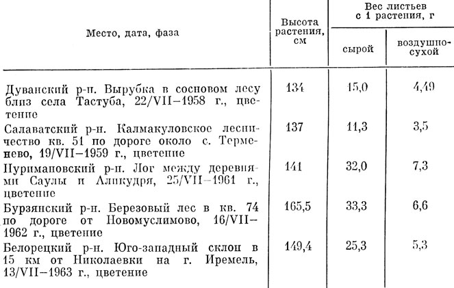 Таблица 26 Продуктивность листьев кипрея узколистного, произрастающего в Башкирии