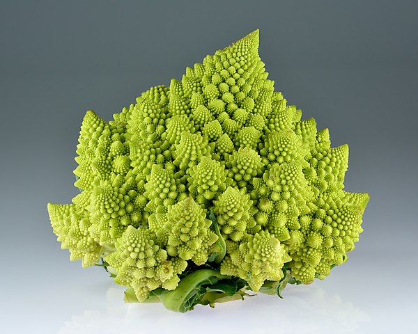 https://en.wikipedia.org/wiki/Patterns_in_nature#/media/File:Romanesco_broccoli_(Brassica_oleracea).jpg