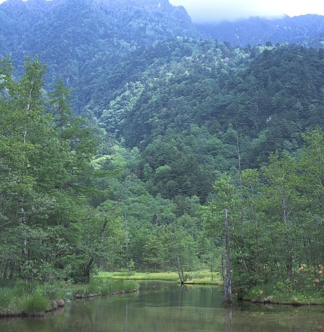 Камикоти, горный район с сохранившимся древним лесом: https://ru.wikipedia.org/wiki/Леса_Японии#/media/Файл:Kamikochi_Marsh.jpg