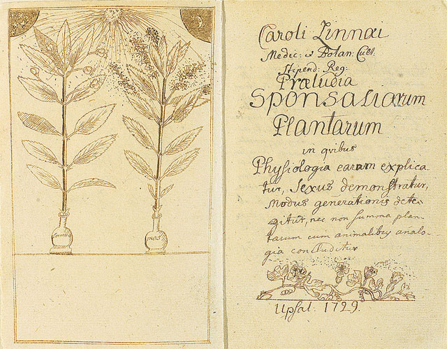 Рукопись Карла Линнея, шведского ученого, который создал классификацию растений и животных: https://ru.wikipedia.org/wiki/Ботаника#/media/Файл:Linne-Praeludia_Sponsaliorum_Plantarum.jpg
